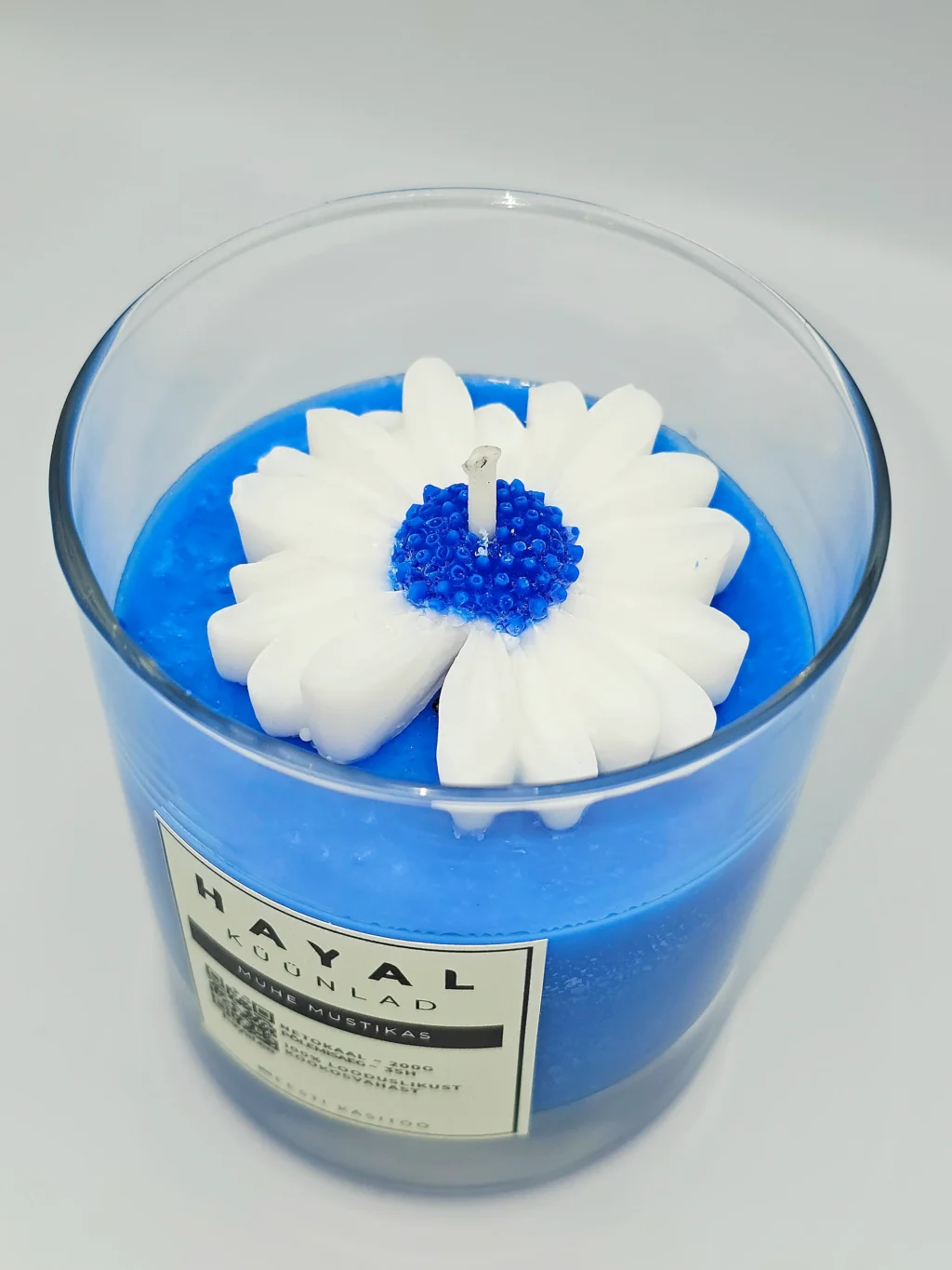 kookosküünal Muhe mustikas kookosküünal Muhe Mustikas